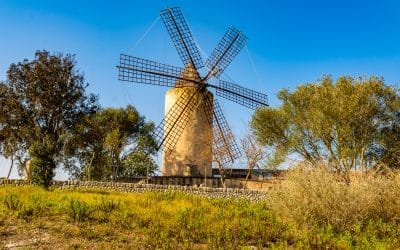 Actividades de primavera en Mallorca: un paraíso para divertirse